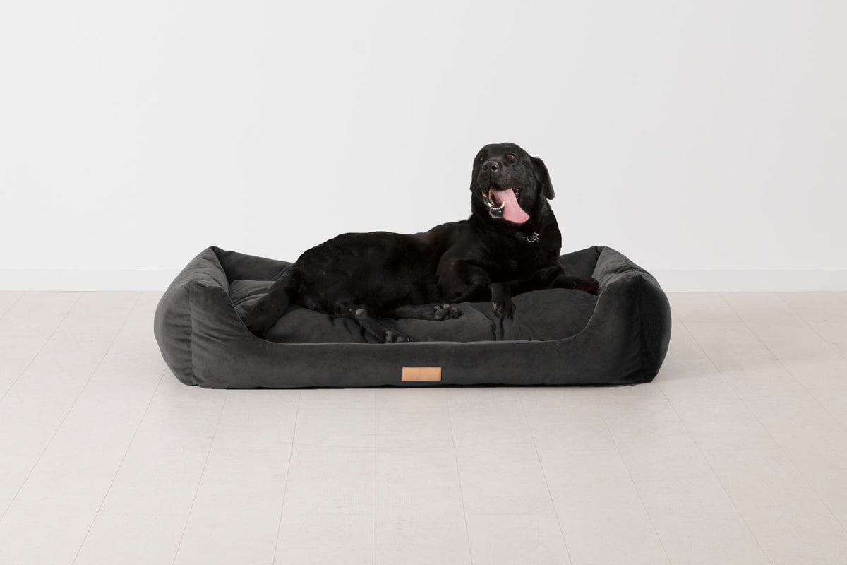 K9-02 Dog Basket Large